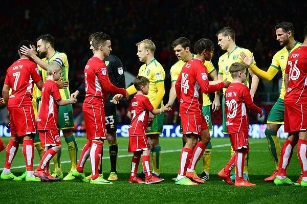 Mascots Shake Hands: Bristol City vs. Norwich City, Sky Bet Championship (07.03.17)