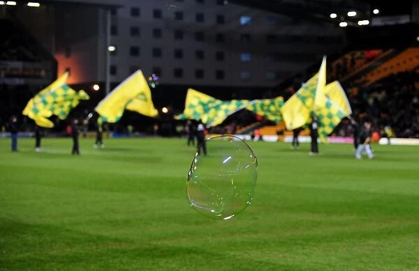 Norwich City vs. Bristol City: A Clash of Football Rivals, Season 10-11