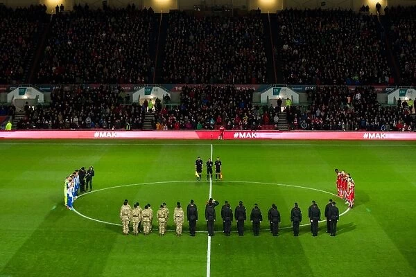 Remembrance Day Tribute: A Minute's Silence at Bristol City vs Brighton & Hove Albion (November 5, 2016)