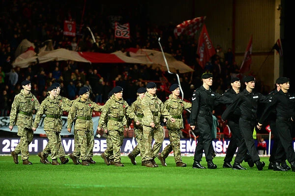 Royal Tank Regiment Salute at Bristol City vs. Brighton and Hove Albion, 2016