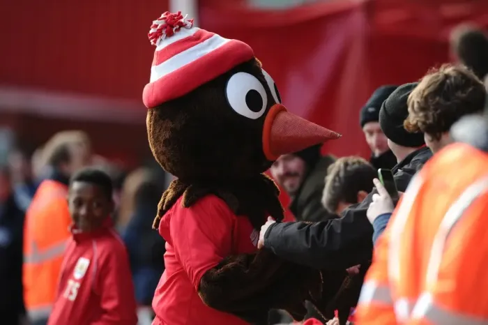 Framed Print : Scrumpy the Hedgehog Meets the Fans: Bristol City vs Fleetwood Town, Ashton Gate, 2015 Framed Print : Scrumpy the Hedgehog Meets the Fans: Bristol City vs Fleetwood Town, Ashton Gate, 2015