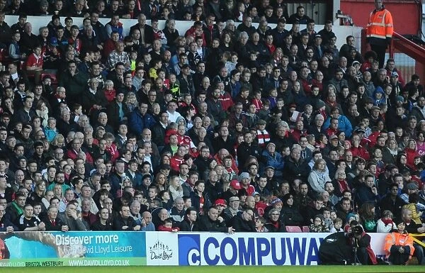 Sea of Supporters: Bristol City vs Preston North End, League One Football Match (November 2014)