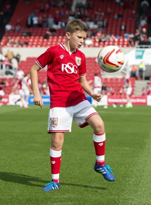 Framed Print : Sky Bet Championship Showdown: Bristol City vs Reading at Ashton Gate Stadium (September 19, 2015)