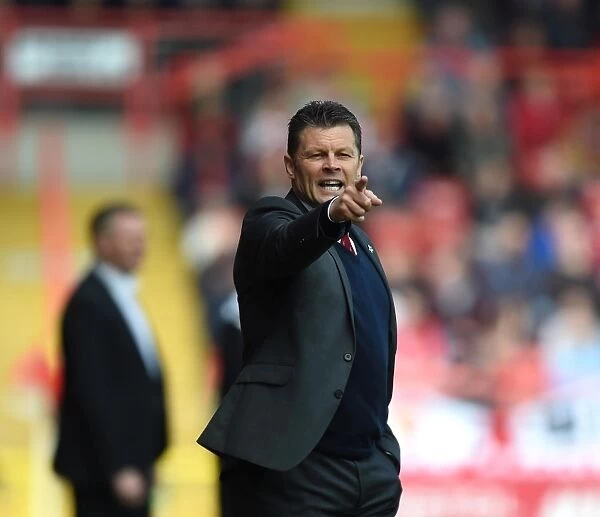 Steve Cotterill Leads Bristol City in Sky Bet League One Clash Against Walsall, May 2015