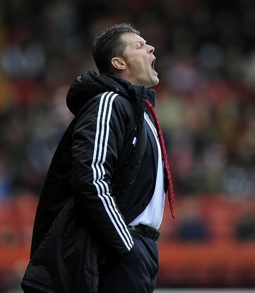 Steve Cotterill Leads Bristol City in Sky Bet League One Match Against Rotherham United (December 2013)