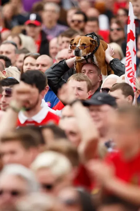 Framed Print : Thousands Celebrate: Bristol City's Spectacular Bus Parade after Winning League 1 and Johnstones Paint Trophy Titles