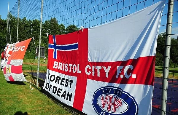 Waves of Pride: Helsingborgs IF vs. Bristol City - A Flag-Waving Rivalry