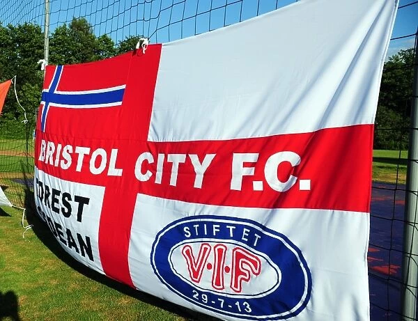 Waves of Pride: Helsingborgs IF vs. Bristol City - A Flag Waving Rivalry