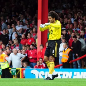 Le match de football 2010-11 : un saisons à se souvenir, Bristol City contre Millwall Le match de football 2010-11 : un saisons à se souvenir, Bristol City contre Millwall