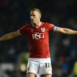 Aaron Wilbraham Print - Bristol City vs Brighton 2015 Sky Bet Championship Aaron Wilbraham Print - Bristol City vs Brighton 2015 Sky Bet Championship
