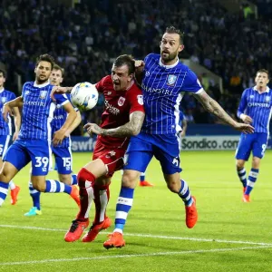 Aden Flint vs. Steven Fletcher: Clash at Hillsborough, Sheffield Wednesday vs. Bristol City, Sky Bet Championship
