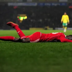 Print of Albert Adomah's Injury, Norwich vs. Bristol City, 2011