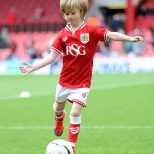 Battle for Championship Status: Bristol City vs. Walsall at Ashton Gate, May 2015