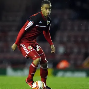Bristol City's Bobby Reid in Print, Championship Football Match Action