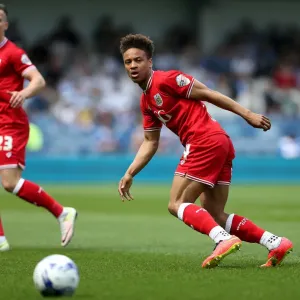 Bobby Reid in Action: Queens Park Rangers vs. Bristol City, Sky Bet Championship (May 7, 2016)