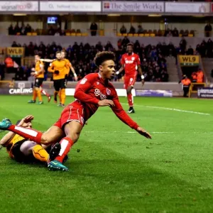 Bobby Reid Foul by Conor Coady: Wolverhampton Wanderers vs. Bristol City (December 2016) Bobby Reid Foul by Conor Coady: Wolverhampton Wanderers vs. Bristol City (December 2016)