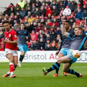 Bobby Reid Scores the Second Goal: Bristol City Leads Sheffield Wednesday 2-0 at Ashton Gate Bobby Reid Scores the Second Goal: Bristol City Leads Sheffield Wednesday 2-0 at Ashton Gate