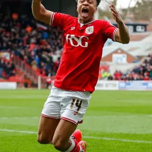 Bobby Reid's Brace: Bristol City Takes 2-0 Lead Over Sheffield Wednesday Bobby Reid's Brace: Bristol City Takes 2-0 Lead Over Sheffield Wednesday