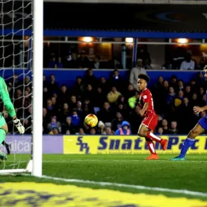 Bobby Reid's Moment of Glory: Aiming for the Net in Birmingham City vs. Bristol City, 2016 Bobby Reid's Moment of Glory: Aiming for the Net in Birmingham City vs. Bristol City, 2016