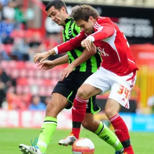 Brett Pitman vs. Marcos Painter: Intense Battle in the Championship Match between Bristol City and Brighton (September 10, 2011)