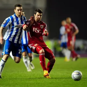 Print of Brighton vs. Bristol City Championship Match Image