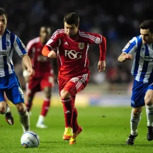 Print of Brighton vs. Bristol City Championship Match Photo