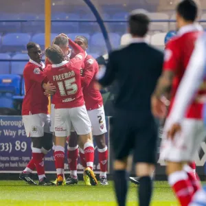 Bristol City Celebrate Aaron Wilbraham's Goal Print