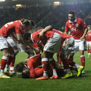 Bristol City Celebrates Print, 2015 League One Match Bristol City Celebrates Print, 2015 League One Match
