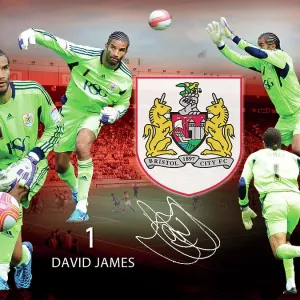 Bristol City David James Framed Player Montage Print