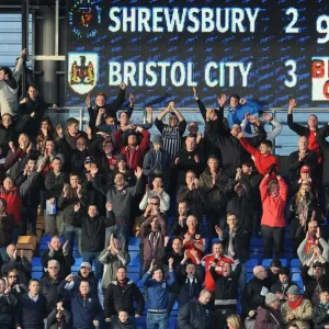 Bristol City Fans in Action Print, March 2014 Bristol City Fans in Action Print, March 2014