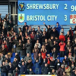 Bristol City Fans in Action Print, Shrewsbury Town's New Meadow, 2014 Bristol City Fans in Action Print, Shrewsbury Town's New Meadow, 2014