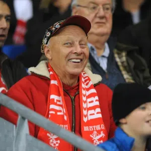 Bristol City Fans at Cardiff City Stadium, 2015