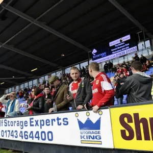 Bristol City Fans Cheering at New Meadow Print, March 2014 Bristol City Fans Cheering at New Meadow Print, March 2014
