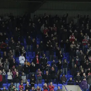 Bristol City Fans in Full Swing at Tranmere vs. Bristol City, League One Match, November 2013 Bristol City Fans in Full Swing at Tranmere vs. Bristol City, League One Match, November 2013