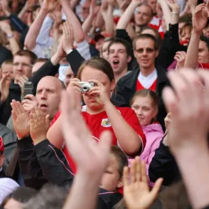 Bristol City FC: Unwavering Passion of Devoted Fans