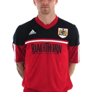Bristol City Football Club Print - Paul Anderson at Ashton Gate Stadium