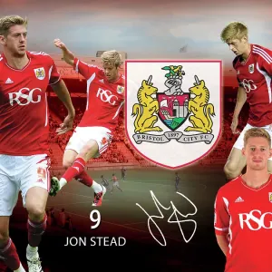 Bristol City Jon Stead Framed Player Montage Print