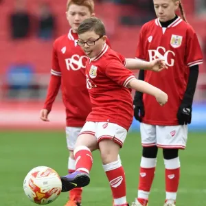 Bristol City Mascot Print at Ashton Gate Stadium Bristol City Mascot Print at Ashton Gate Stadium