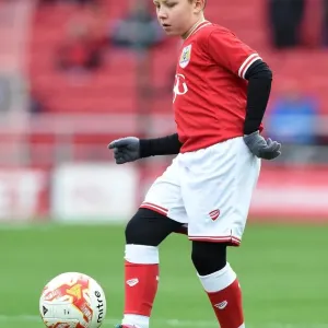 Bristol City Mascot Print at Ashton Gate Stadium Bristol City Mascot Print at Ashton Gate Stadium