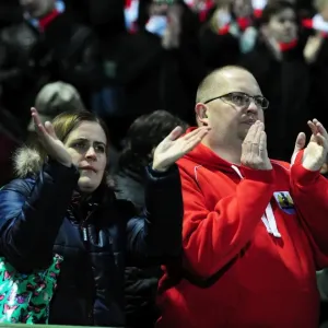 Bristol City Promotion Celebration: Unforgettable Moment at Huish Park, March 10, 2015