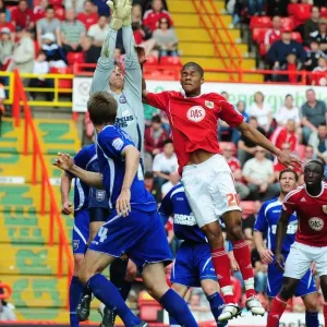 Bristol City Soaring High Print