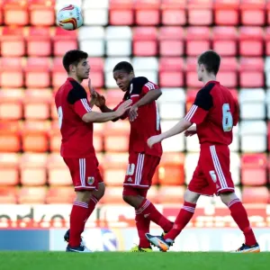 Bristol City U21s Celebrate Goal Print Bristol City U21s Celebrate Goal Print