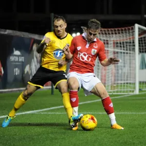 Bristol City v AFC Wimbledon 111114
