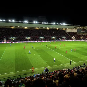 Bristol City v Brighton & Hove Albion 051116