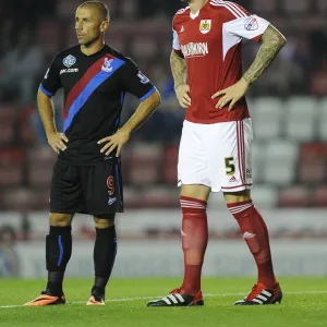 Bristol City V Crystal Palace 270813