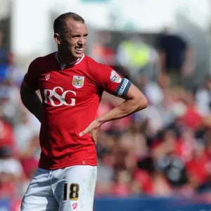 Bristol City vs Brentford: Aaron Wilbraham in Action at Ashton Gate, Sky Bet Championship
