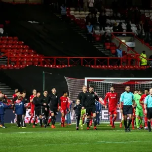Bristol City vs Brentford: Championship Clash at Ashton Gate Stadium (13/12/2016) Bristol City vs Brentford: Championship Clash at Ashton Gate Stadium (13/12/2016)