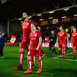 Bristol City vs Brentford: A Championship Showdown at Ashton Gate - December 13, 2016 Bristol City vs Brentford: A Championship Showdown at Ashton Gate - December 13, 2016