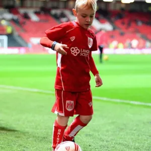 Bristol City vs Brentford: Clash at Ashton Gate, December 13, 2016 Bristol City vs Brentford: Clash at Ashton Gate, December 13, 2016