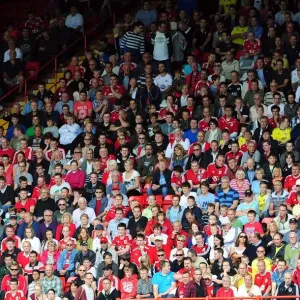 Bristol City vs Brighton: A Football Rivalry - Season 11-12